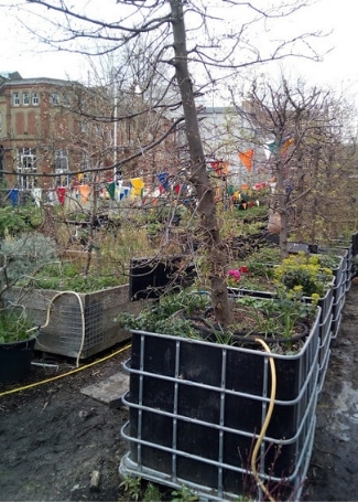 Cultivation Street tips for May blog, using (Intermediate Bulk Containers) that can be used as large planters as done by Core Landscapes in London