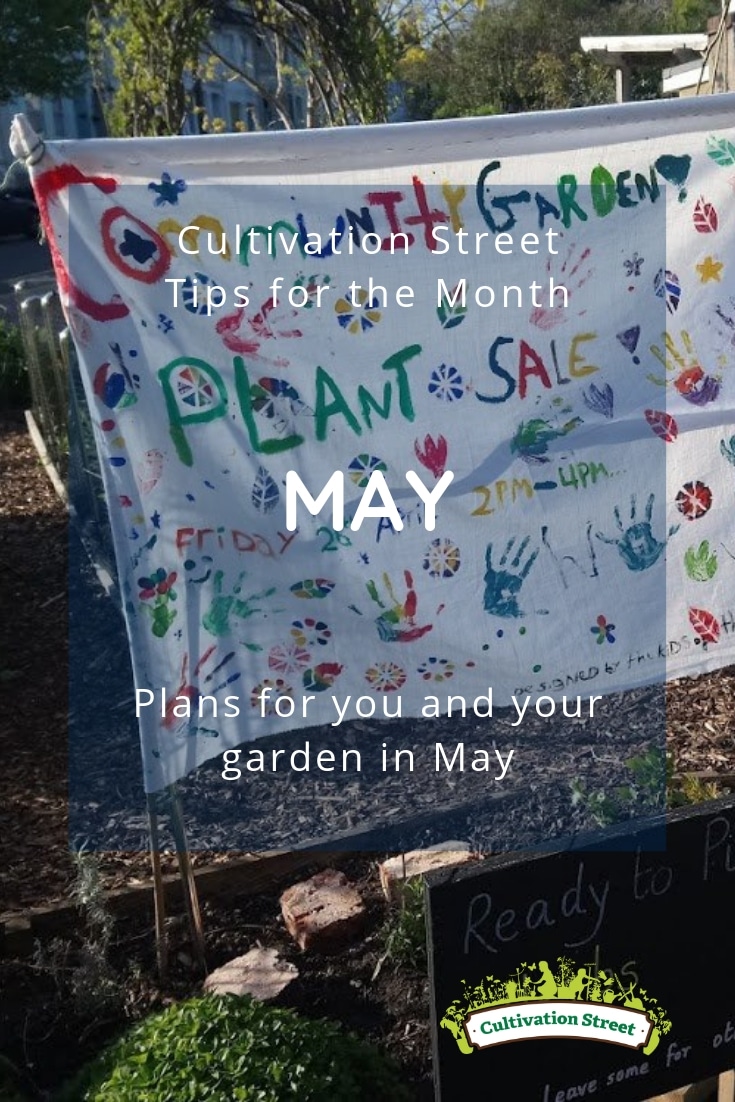 Cultivation Street tips for the month of May, plans for you and your garden including arranging a plant sale to raise funds for your school or community garden