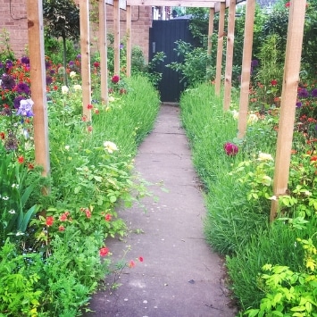 Pergola Close Oasis, the story of their small space garden