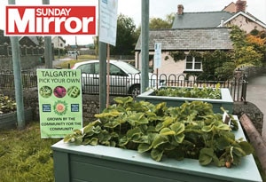 Sunday Mirror Blog Post feature image Telgarth