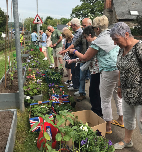 Telgarth Cultivation Street produce table2