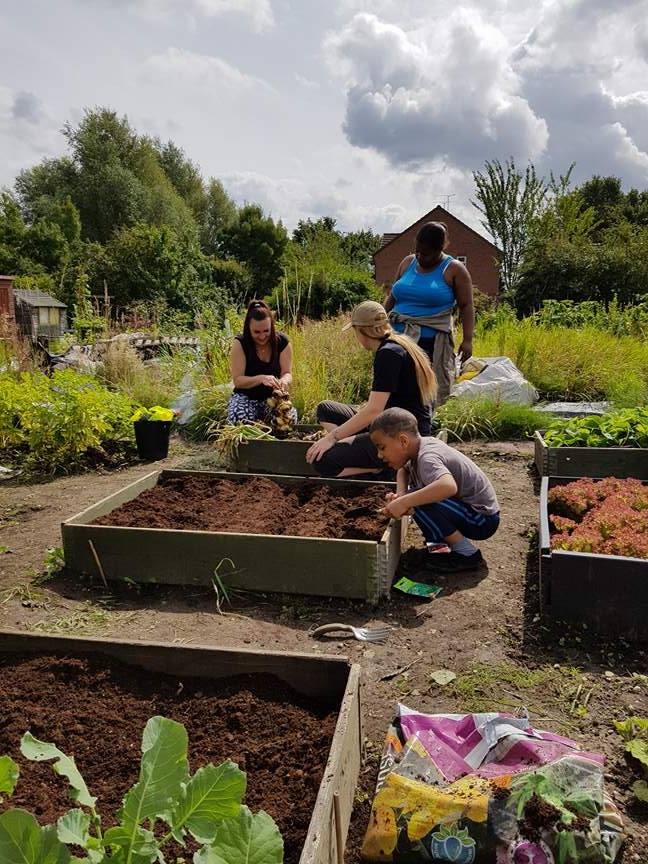 2 Allotment - the Summer 2017 Plot Going Well