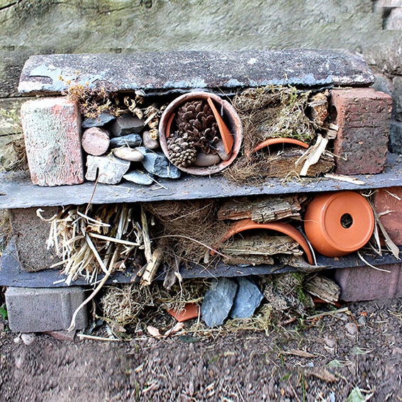 Bug hotel activity cultivation street community school gardens network images 1