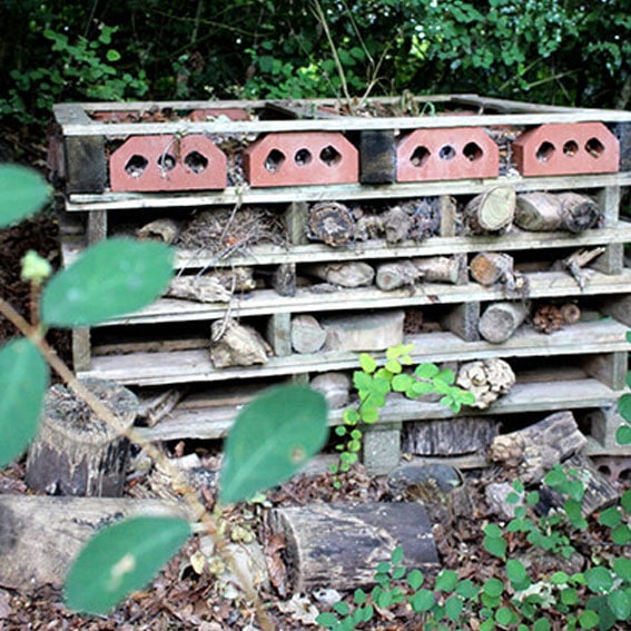 Bug hotel activity cultivation street community school gardens network images 3