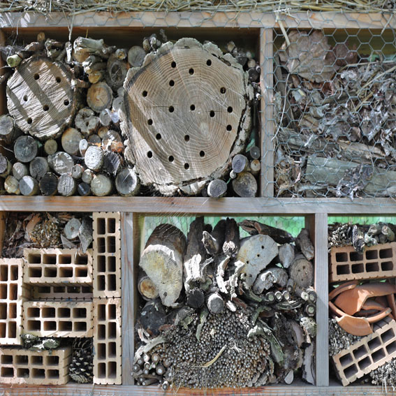 Bug hotel activity cultivation street community school gardens network images 5