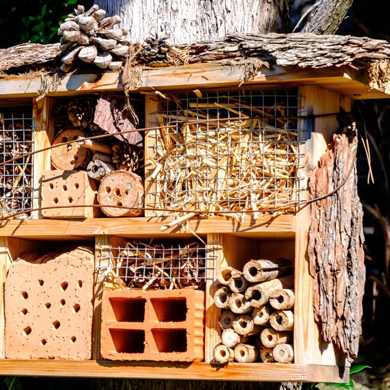 Bug hotel activity cultivation street community school gardens network images 6