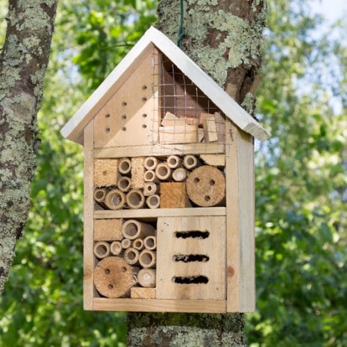 Build your own bug hotel - Cultivation Street