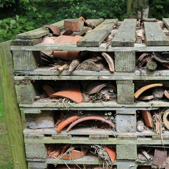 Bug hotel activity cultivation street community school gardens network images 8