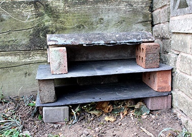 Bug hotel activity cultivation street community school gardens