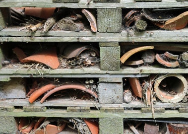 Bug hotel activity cultivation street community school gardens2