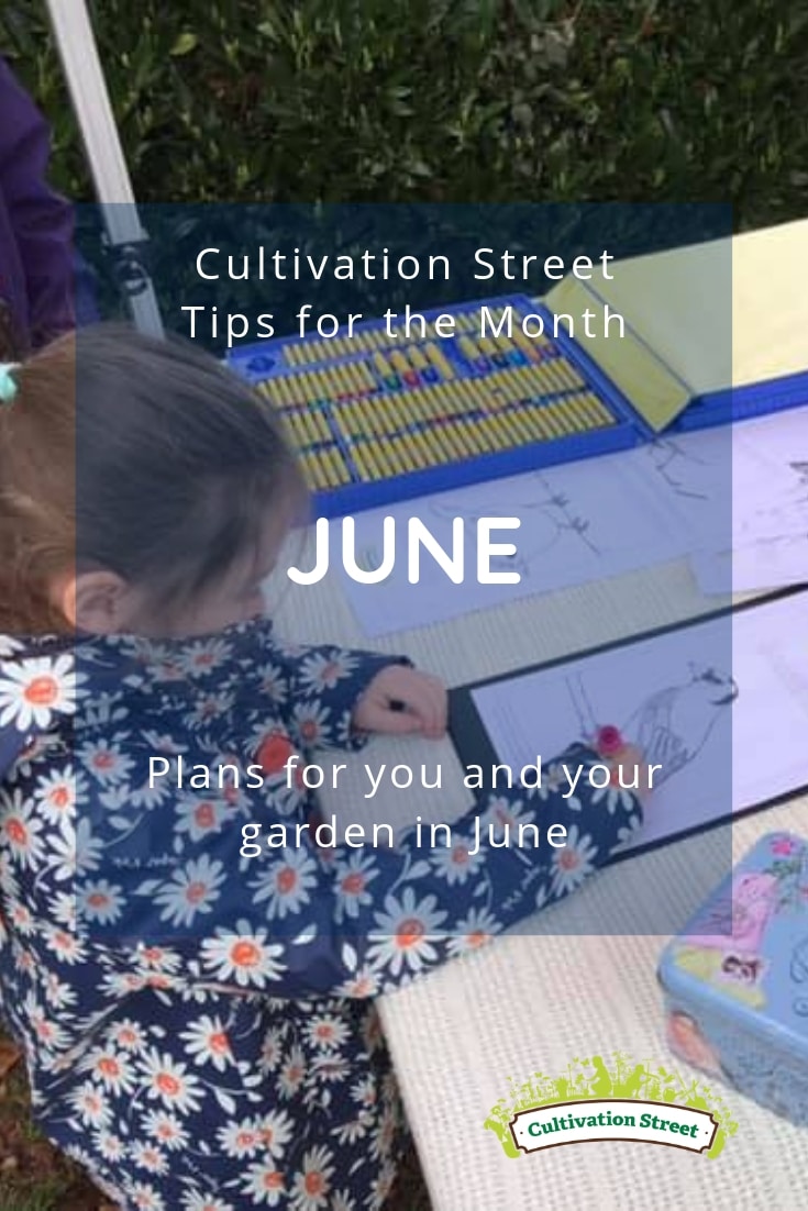 Cultivation Street gardening tips for June, plans for you and your garden in June