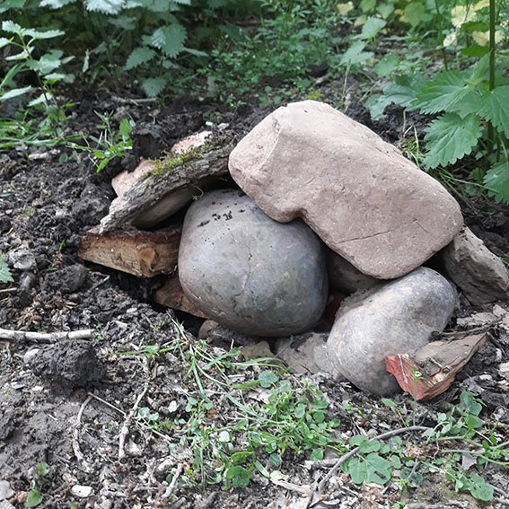 Frog toad shelter home house wildife garden cutivation street