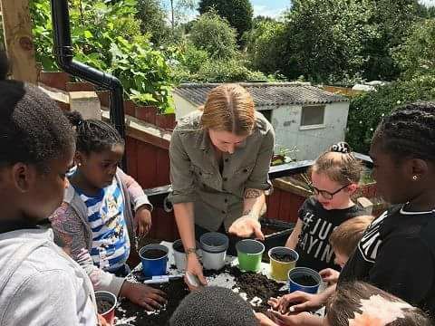 Garden activity last summer, seed planting, bug hotels, planting around the estate