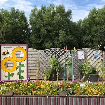 Little Seedlings Community Garden, shortlisted in Cultivation Street's competition