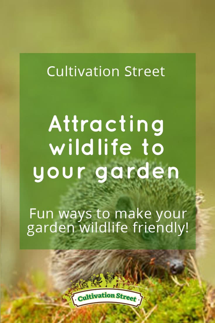 Pin 4 attracting wildlife Cultivation Street garden community school