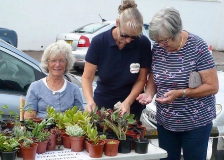 Sandown Castle Community Garden plant sale fundraising for their Cultivation Street garden