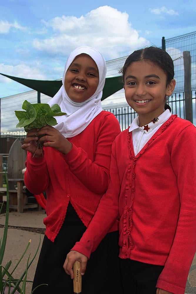 Star Primary Cultivation Street School Gardening Main