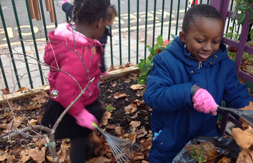 Star Primary Cultivation Street School Gardening raking2