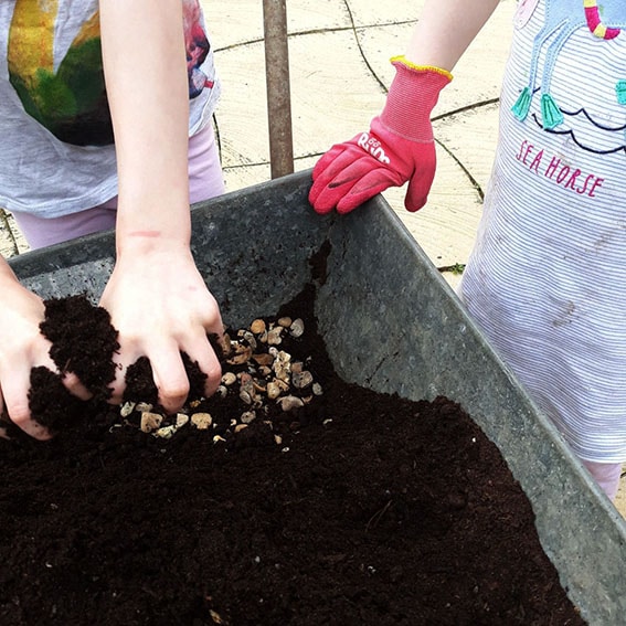 Fairy Garden Cultivation Street body image 1