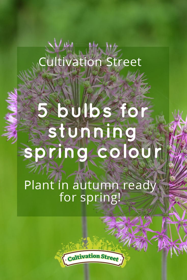 Pin artowrk Cultivation Street Blog blubs6 Pin artowrk Cultivation Street Blog blubs6