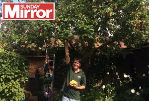 Behinf the Sunday Mirror Blog Post feature image Foirty Hall Orchard