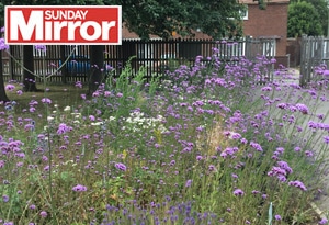 st albans-Cultivation-Street-feature