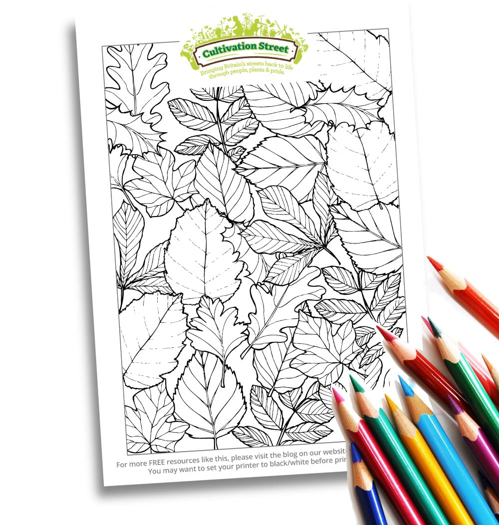 Body-Image- Colouring Page Cultivation-Street Autumn