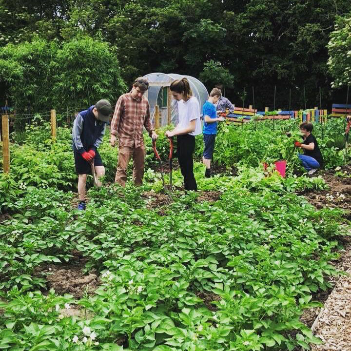 Herts and Essex Community Farm 8 Consent Image 2