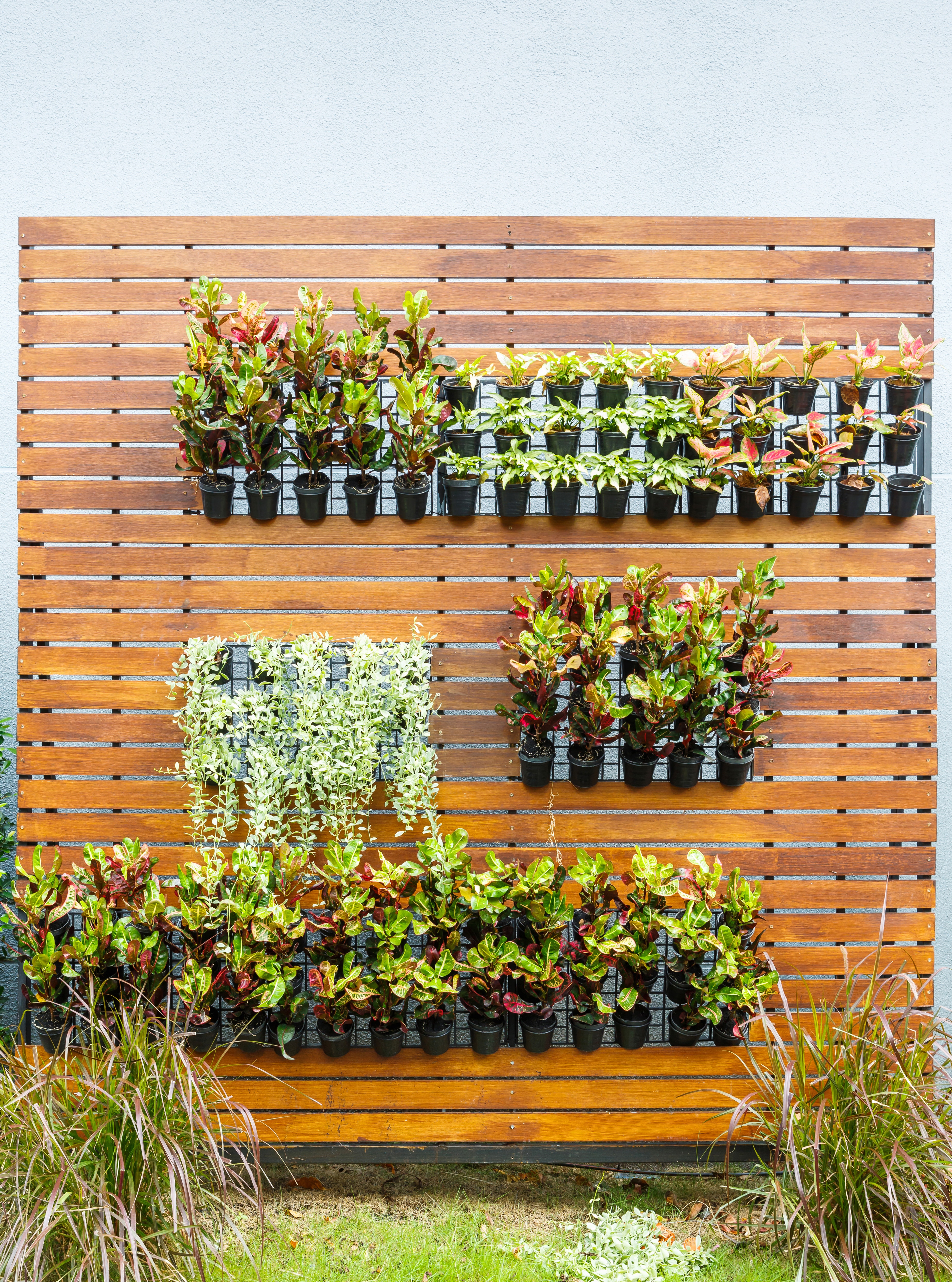 Beautiful vertical garden in city around office building