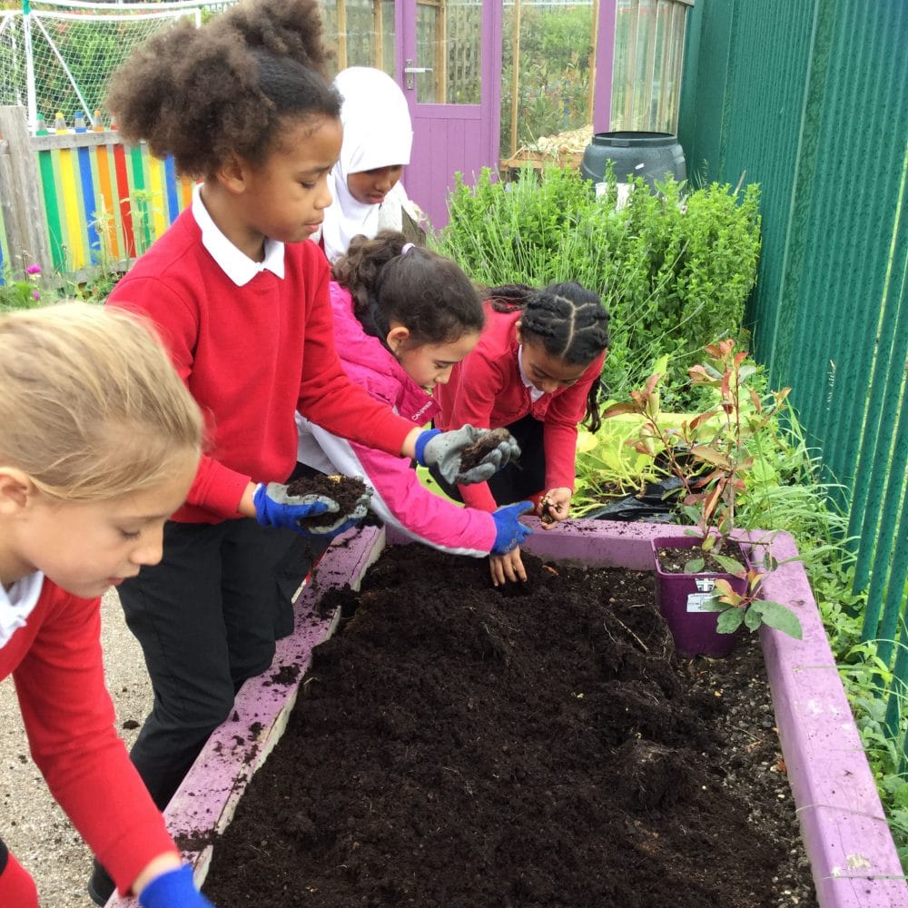 Behind the Sunday Mirror - Star Primary School - Cultivation Street