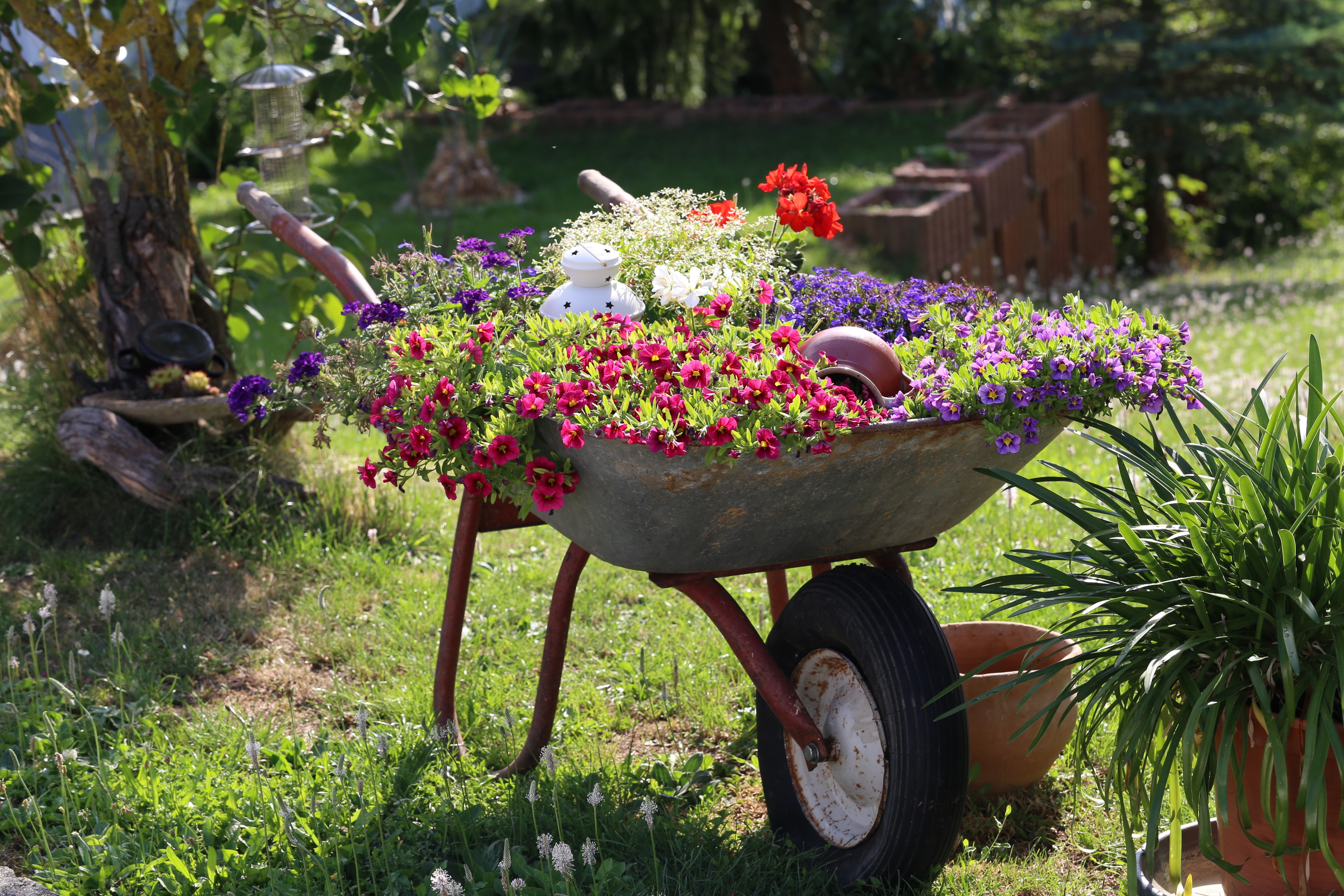 Wheelbarrow with flowers