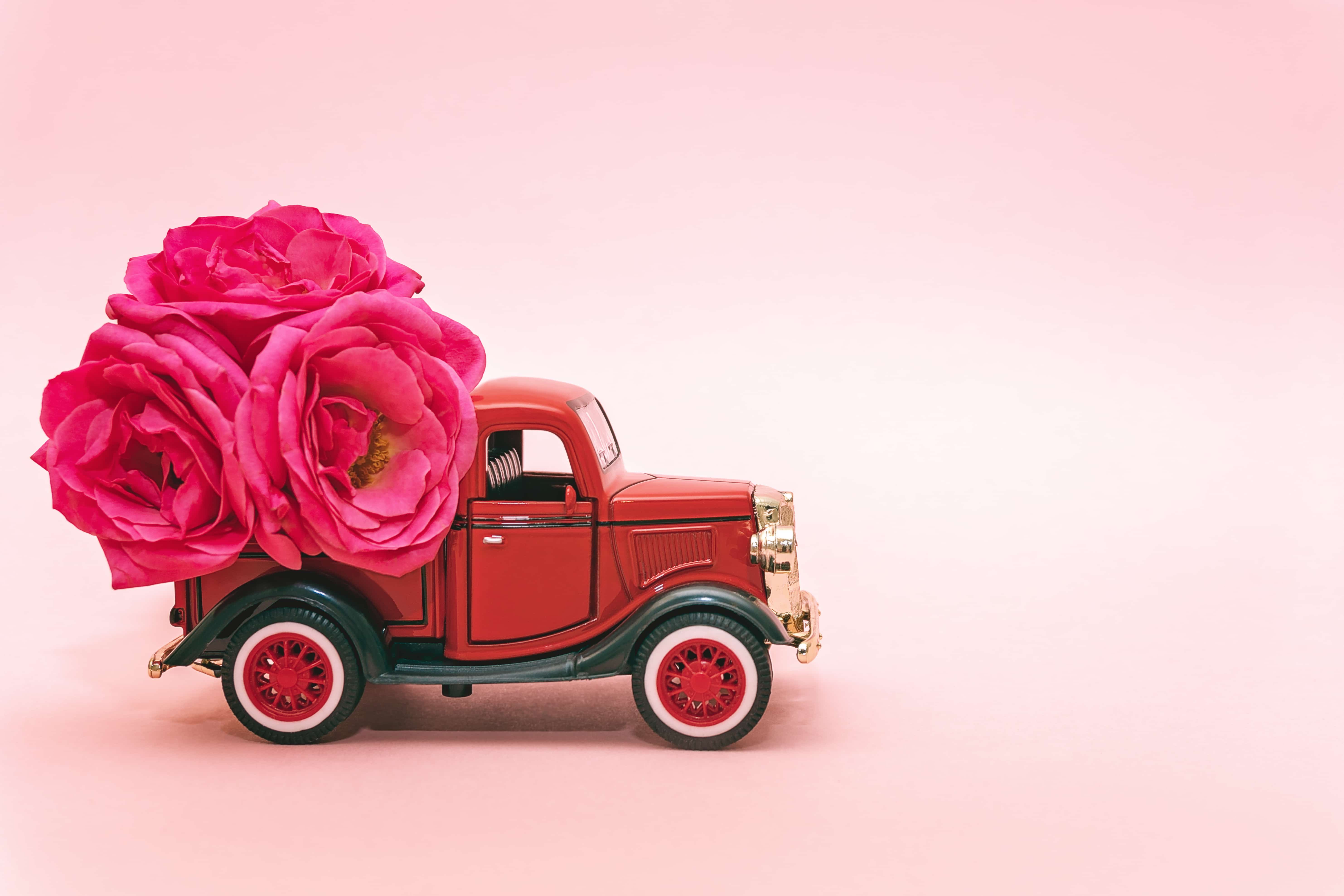 Red toy truck delivering bouquet of rose flowers on pink background. February 14, Valentine's day, 8 March, International Women's Day. Flower delivery. Copy space.