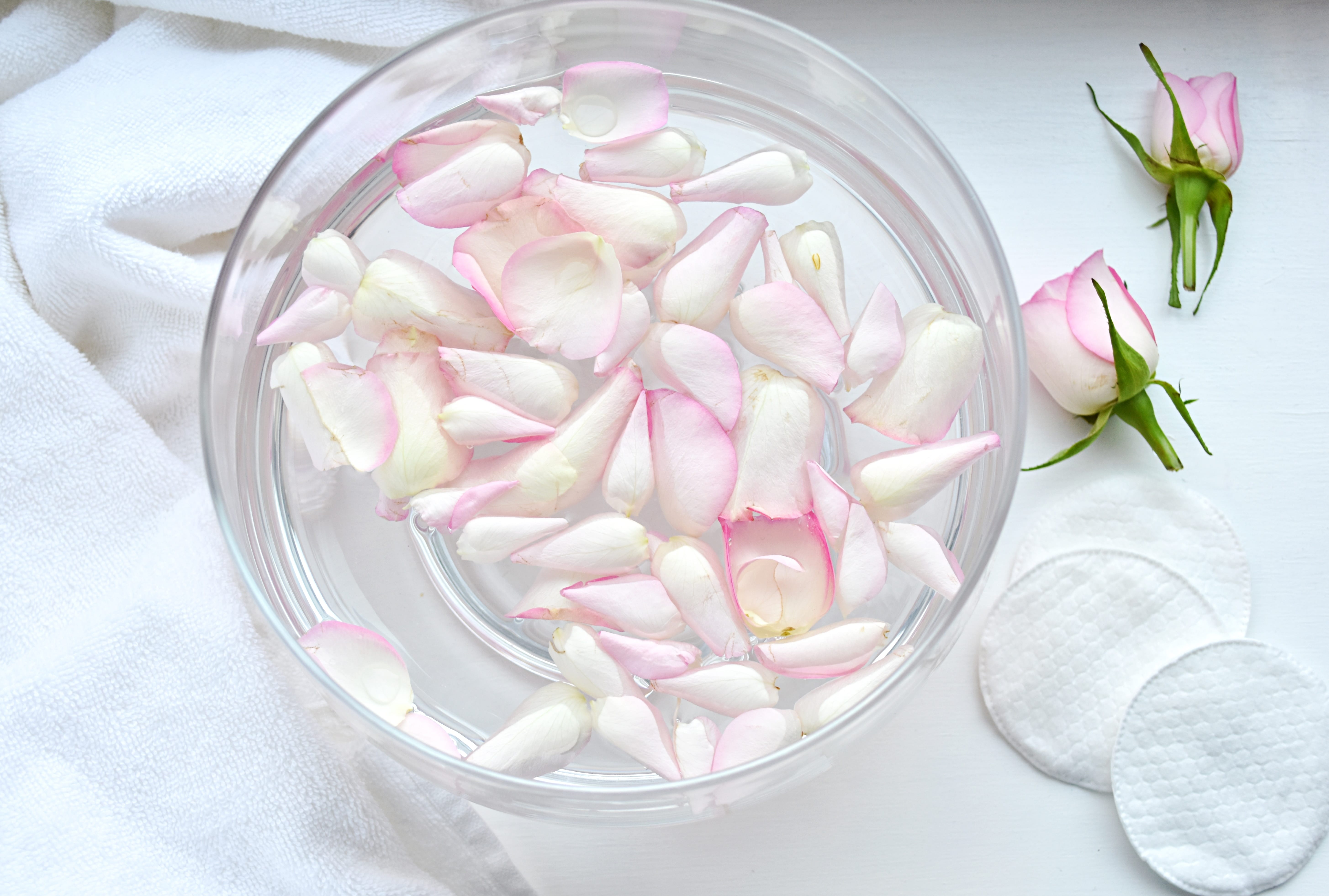 Preparing roses water, pink rose petals in glass bowl, for skin care and spa.