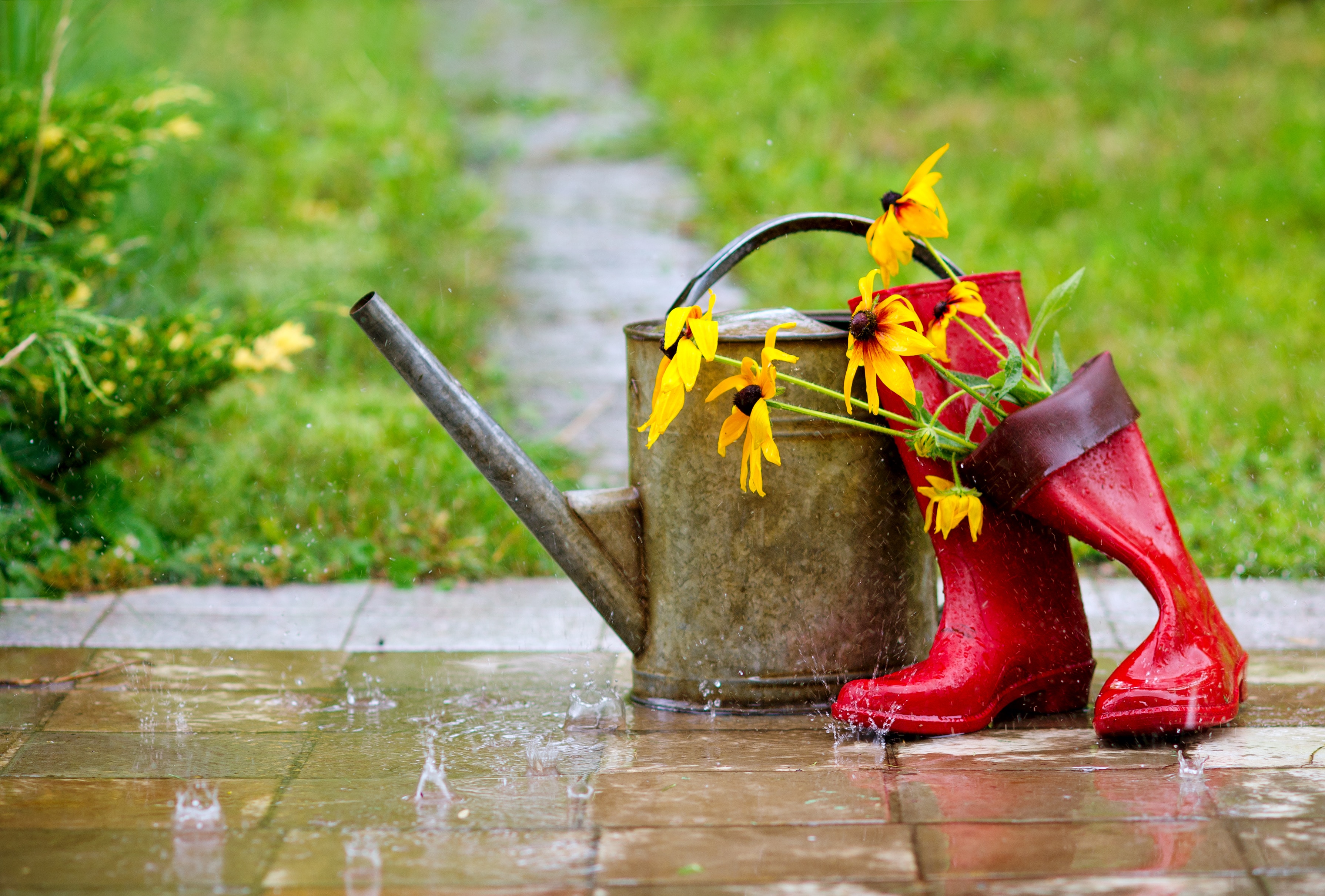 Red rain boots, watering can and flowers in spring garden