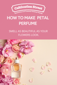 How to make petal perfume