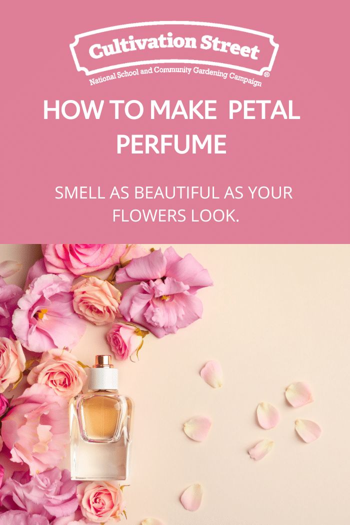 Flower best sale petal perfume