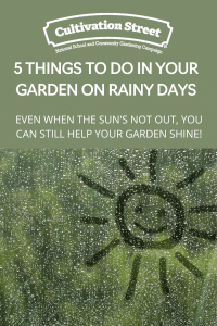 5 things to do in your garden on rainy days