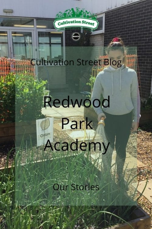Our Stories Redwood Park Academy Cultivation Street