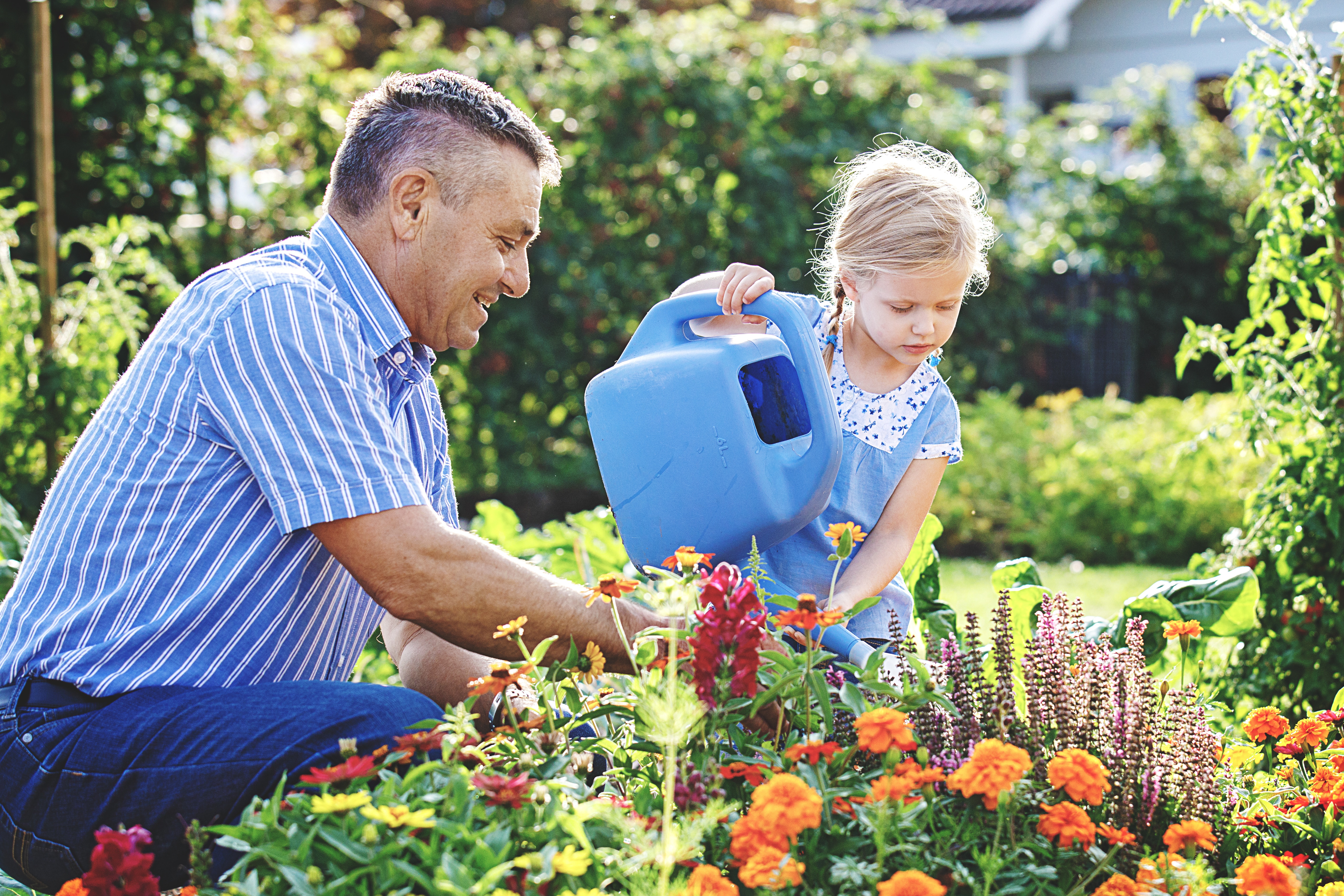 Семья огород. Поливать цветы. Лето огород. Человек поливает цветы в саду. Огород для детей.
