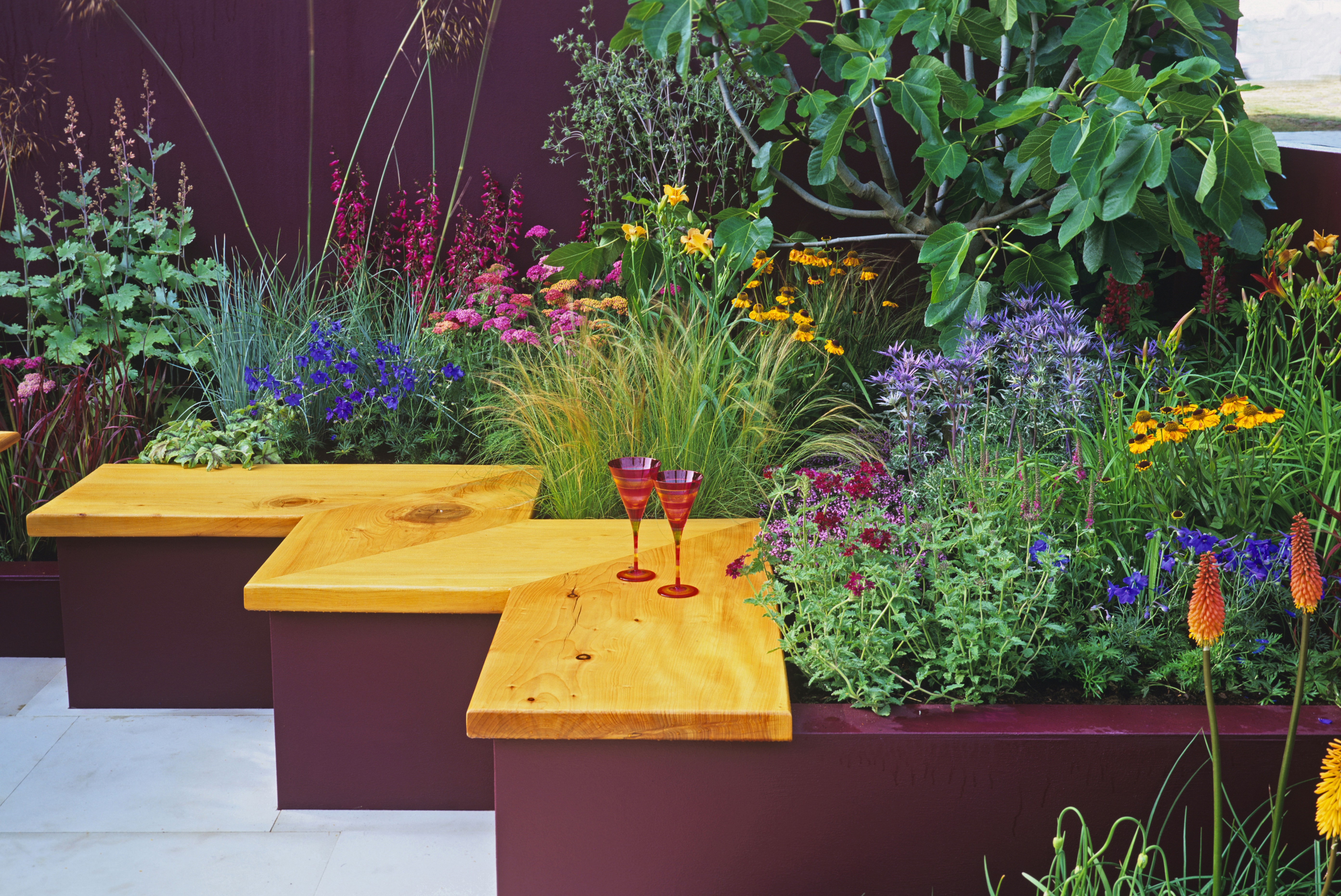 Colourful planting in 'Summer Cocktail' garden