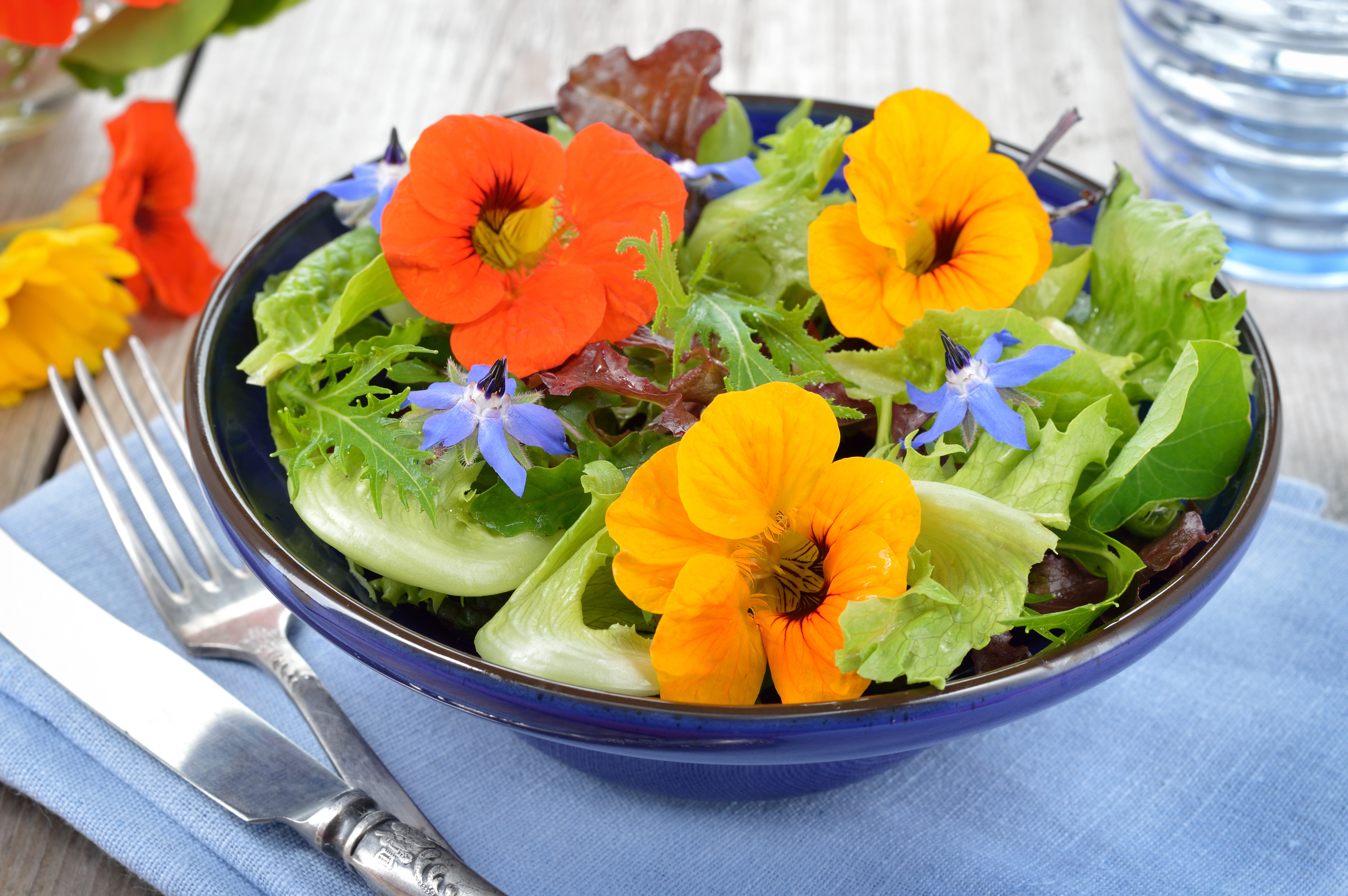 Fresh summer salad with edible flowers nasturtium, borage flowers in a bowl.