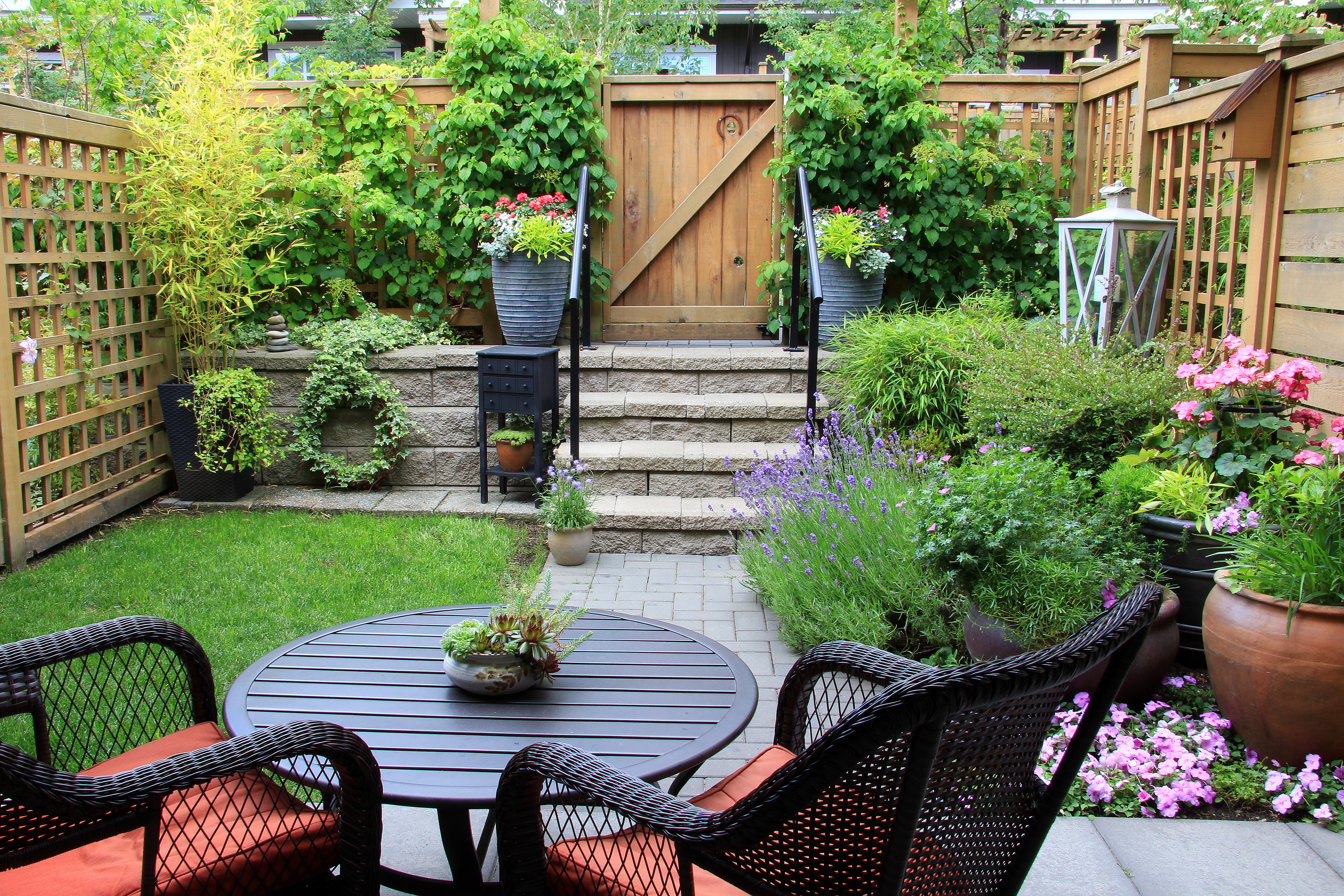 Small townhome garden with patio furniture amidst blooming lavender.