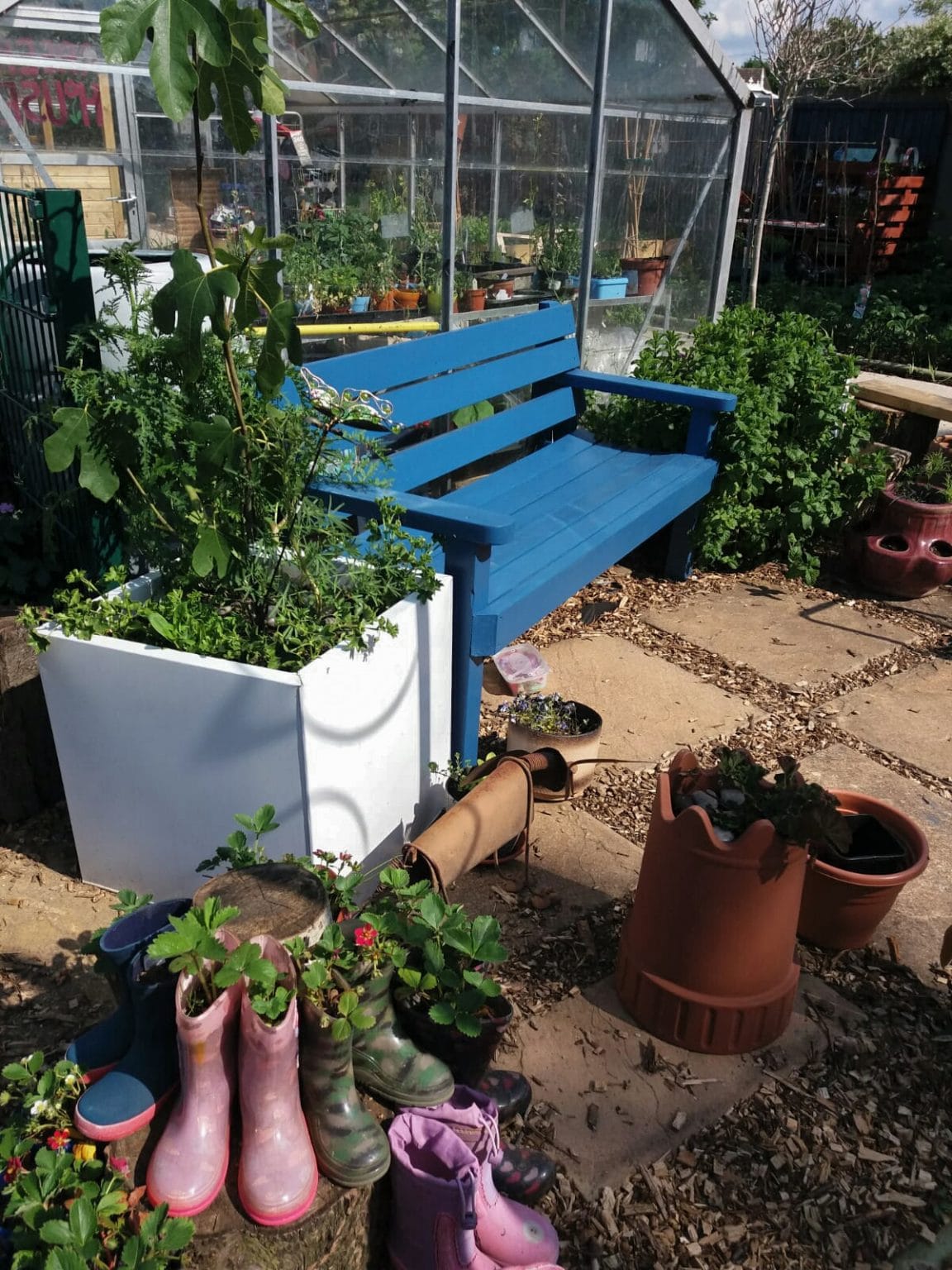 Our Stories Little Paxton Nursery Cultivation Street