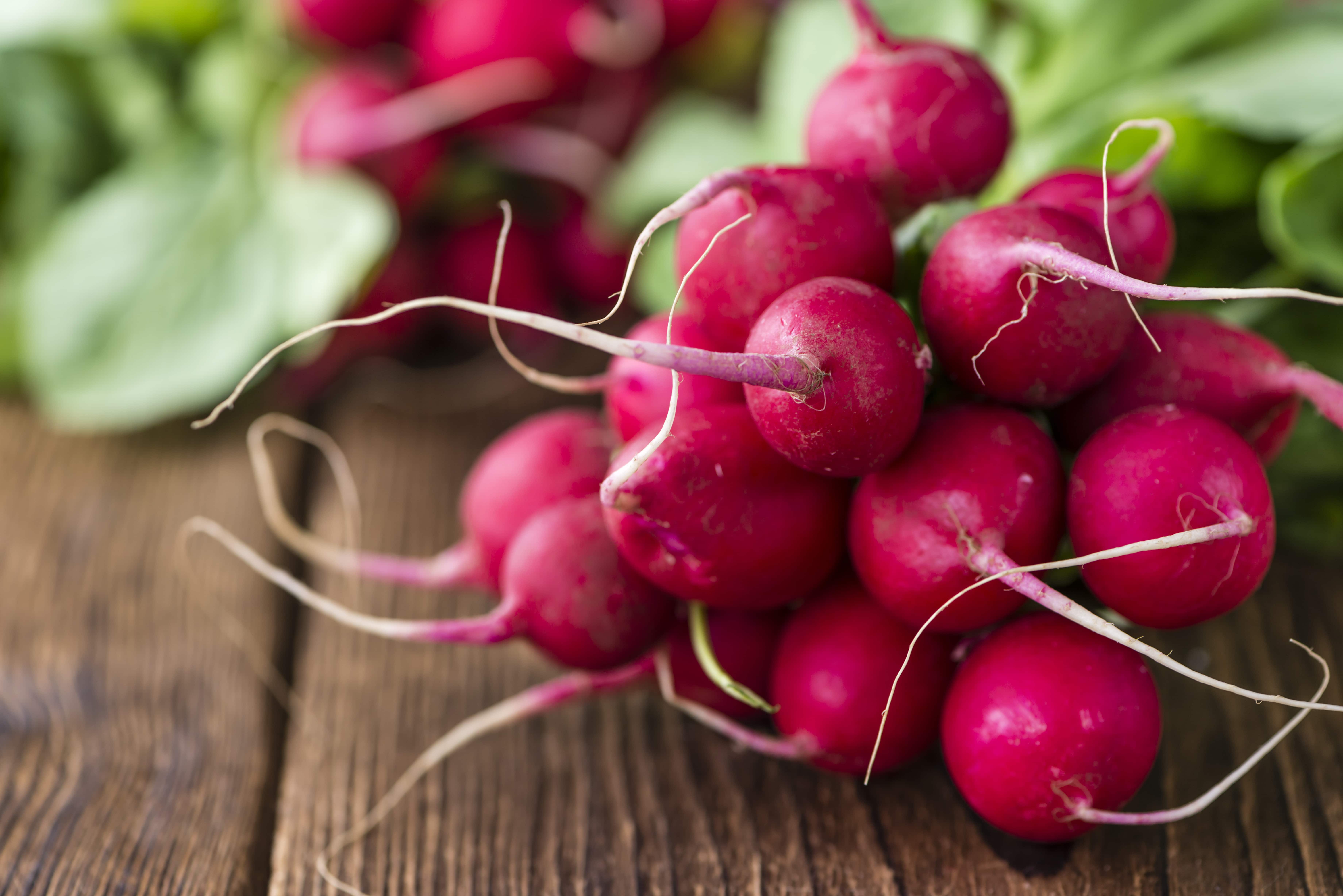 Portion of Radishes (selective focus, close-up shot) on wooden background