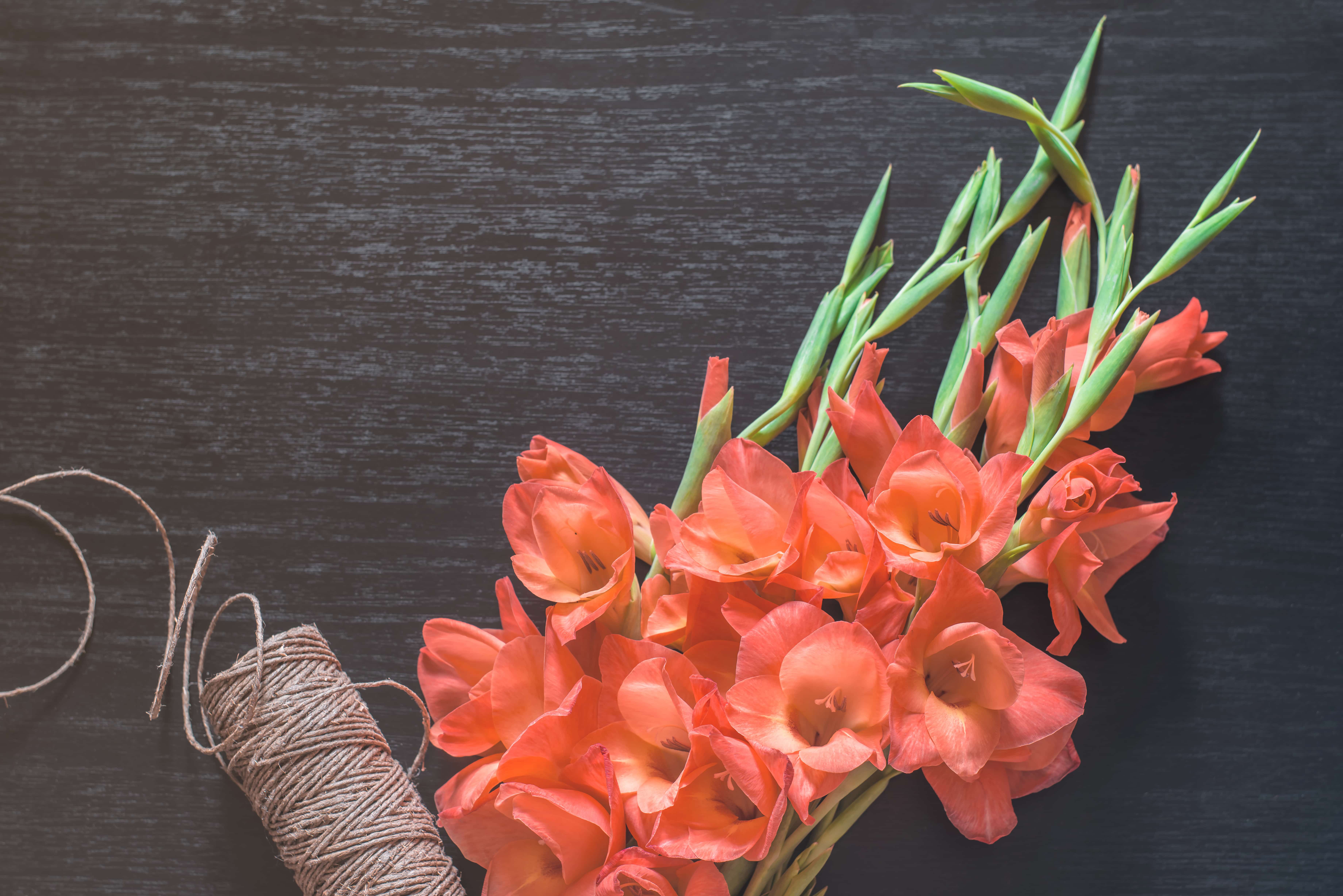 Orange gladiolus on tinted black background, top view. Floral rope for bouquets on wooden table. Flat lay. Nature concept. A place for your inscription. Background for site design, landing or blog.