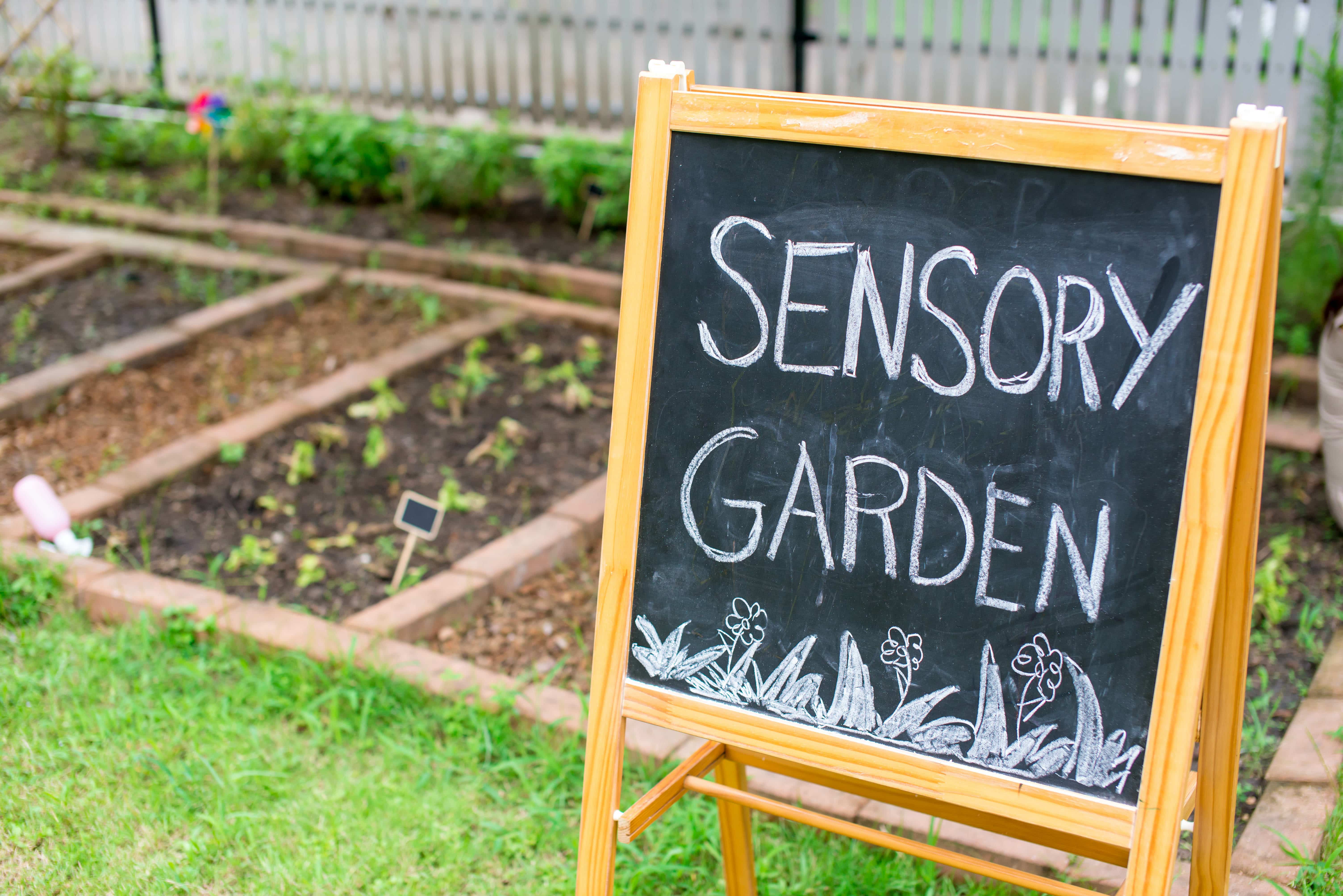 Chalk board next to the garden bed