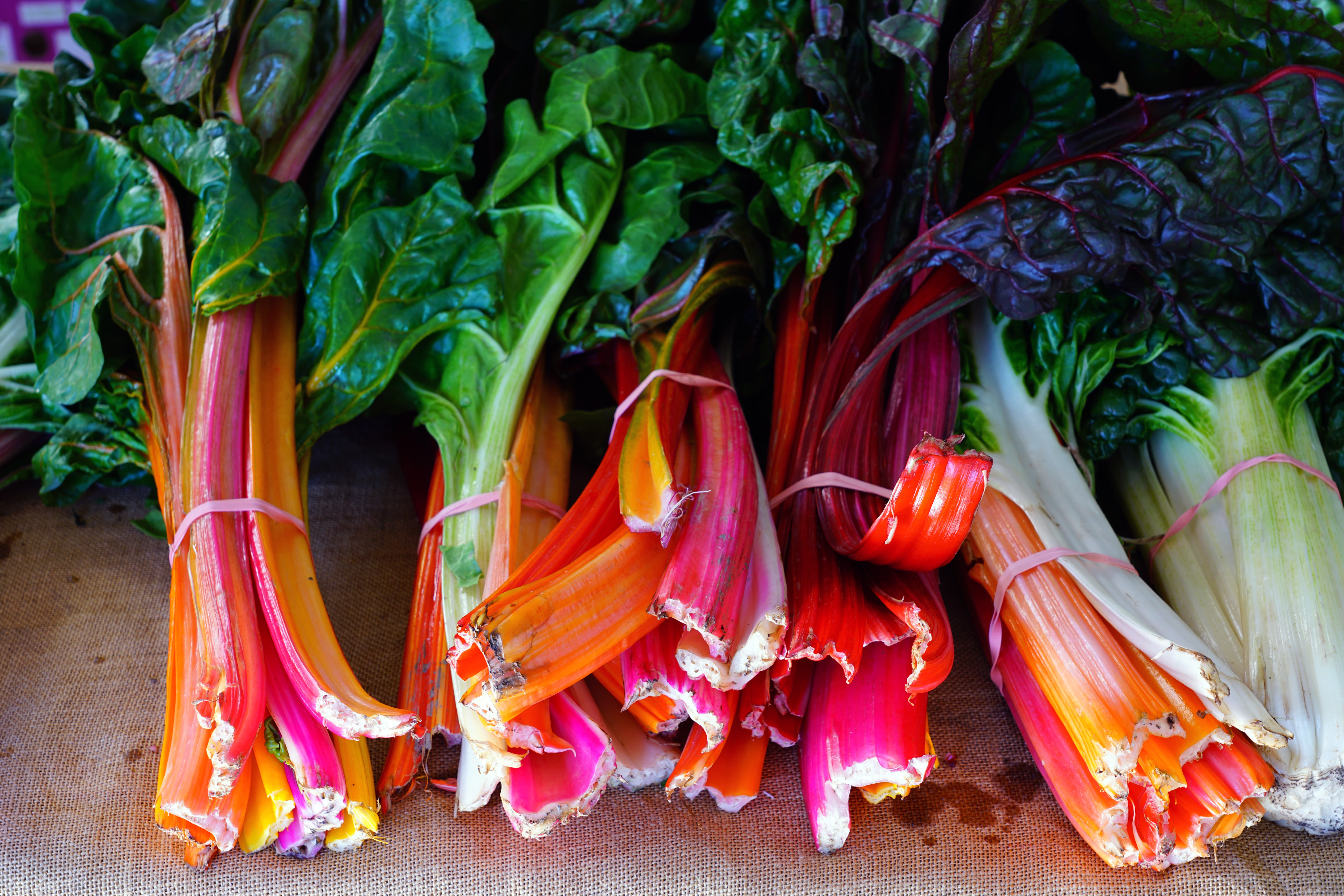 Bunches of rainbow Swiss chard with bright red  and orange stalks and green leaves for sale at a farmers market