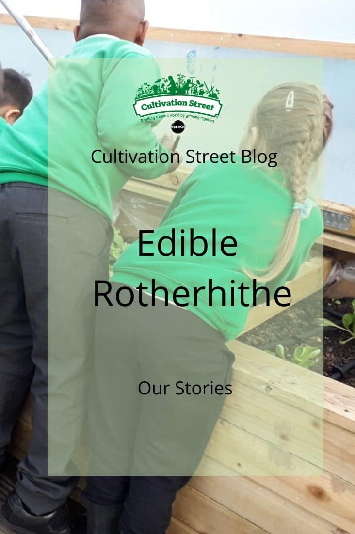 Copy of CultivationStreet Blog