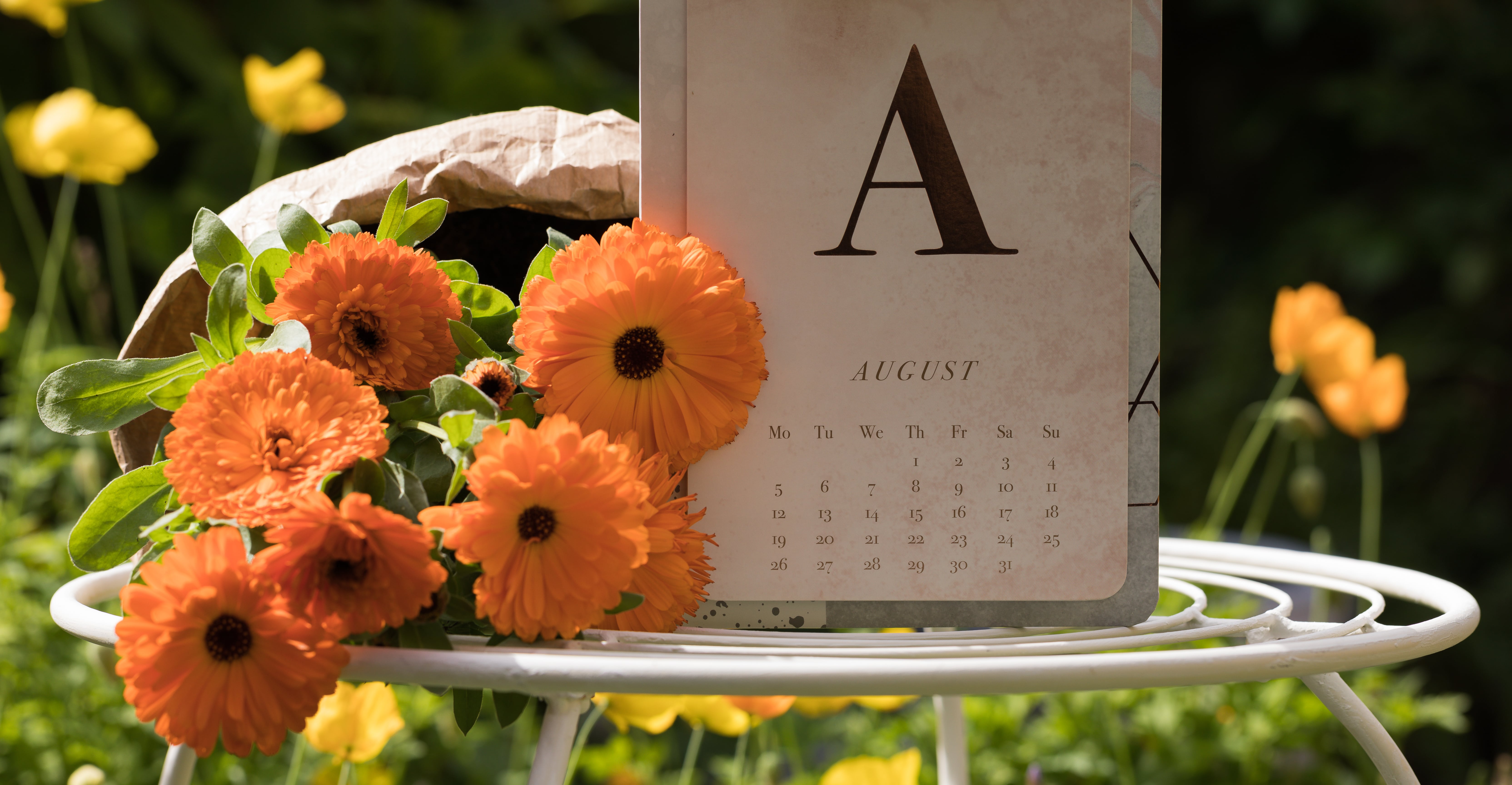 Close-up: Calendar of August and Beautiful Orange Flowers on Wrapping Paper are on Garden Table in Sunny Day. Horizontal Image. Concept: Summer Gardening.