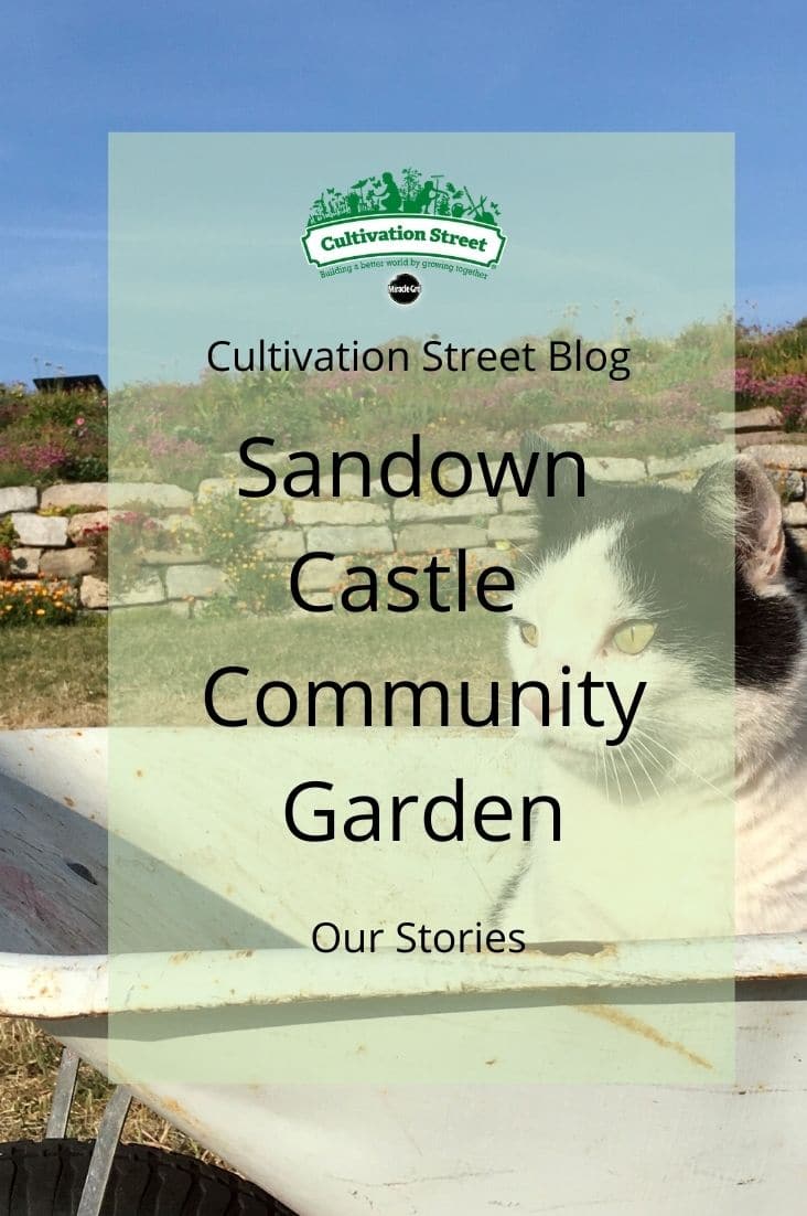 Copy of CultivationStreet Blog (2)